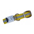 Pet Leash(Pet Collar)